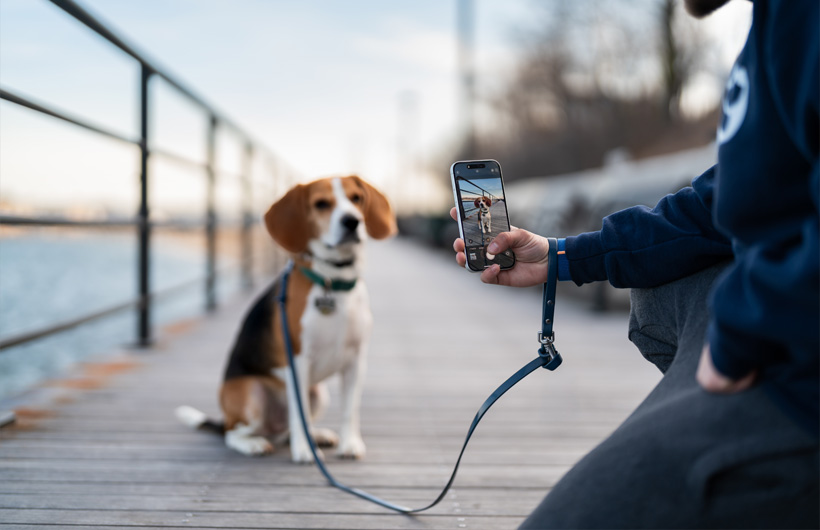 Az iPhone kivételes minőségű kamerái még látványosabbá teszik a gazdik számára készített jelentéseket.